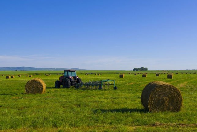 Alberta Self-Employed Farmer Stream